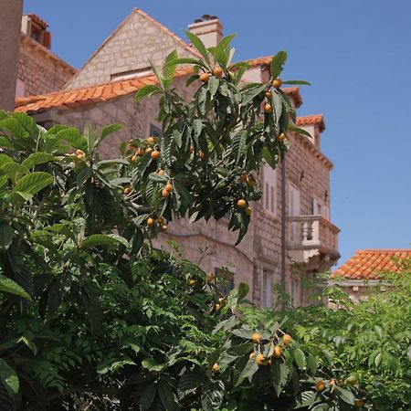 Old Town Green Oasis House دوبروفينك المظهر الخارجي الصورة