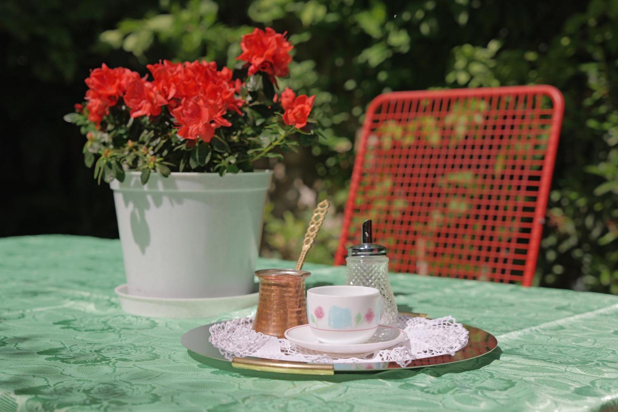 Old Town Green Oasis House دوبروفينك المظهر الخارجي الصورة