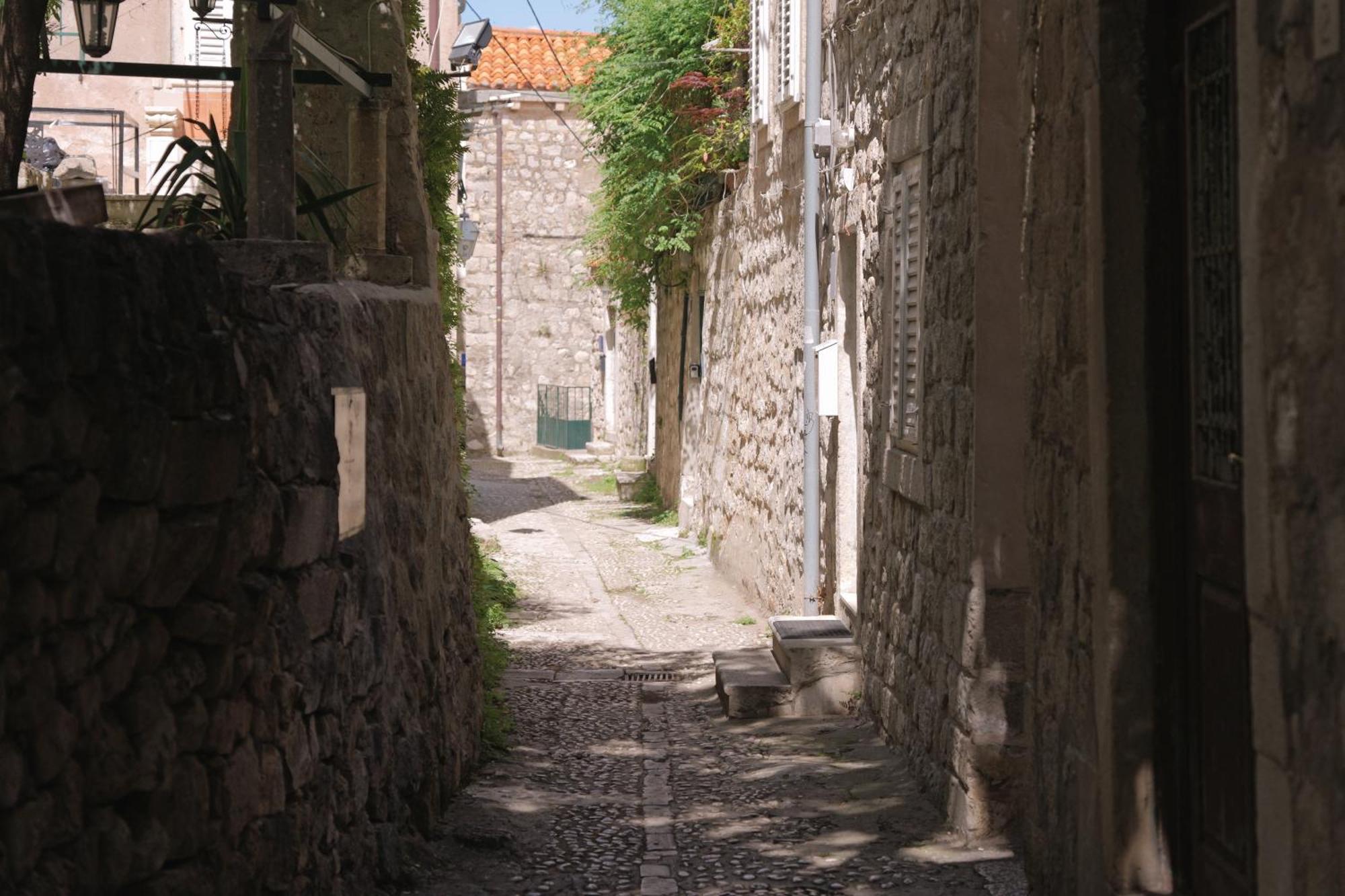 Old Town Green Oasis House دوبروفينك المظهر الخارجي الصورة
